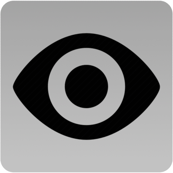 Black Eye Icon – Gray Background