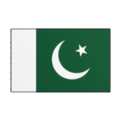 Download Pakistan Flag Icon PNG – High Quality with Background Pakistan Flag Icon PNG with Background