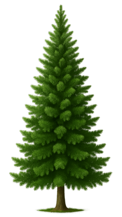 Tree transparent background PNG image for design and video projects