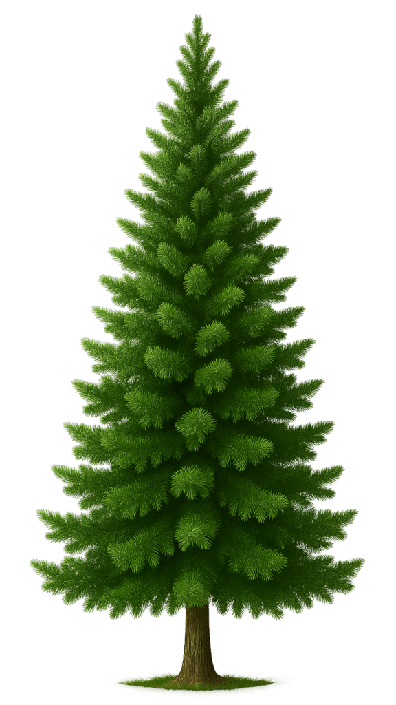 100% Free Download Tree Transparent Background PNG – High-Quality ...