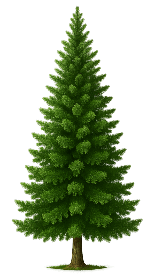 Tree transparent background PNG image for design and video projects