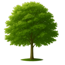 Tree Transparent Background PNG Free Download