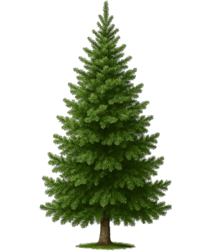 Christmas tree PNG with transparent background for festive holiday designs and seasonal overlays