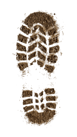 Shoe Footprint Transparent PNG – Free Download