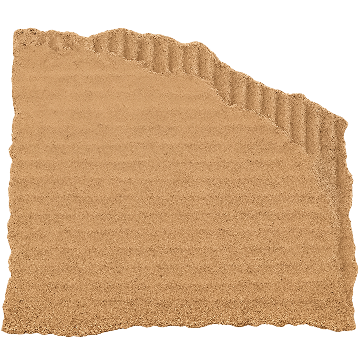 Torn Cardboard Piece Transparent PNG – Free Download for Design and Editing