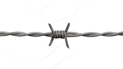 Barbed Wire Transparent PNG – Free Download for Design and Editing