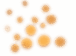 Bokeh Transparent PNG – Free Light Overlay for Video Editing & Graphic Design Bokeh Transparent PNG – Free Light Overlay for Video Editing & Graphic Design