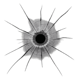 Bullet Hole Transparent PNG – Free Download for Design and Editing