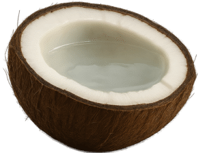 Coconut half transparent PNG for food design, tropical themes, and digital projects
