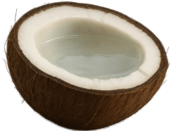 Coconut half transparent PNG for food design, tropical themes, and digital projects