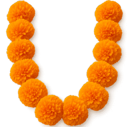 Marigold Garland Transparent PNG – Free Download for Festival and Wedding Designs Marigold Garland Transparent PNG – Free Download for Festival and Wedding Designs