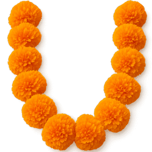 Marigold Garland Transparent PNG – Free Download for Festival and Wedding Designs