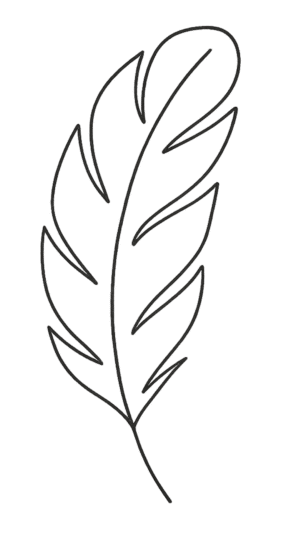 Feather line art PNG transparent free download
