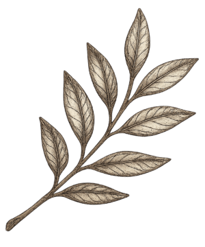 Rustic botanical PNG transparent background for wedding, invitation, and nature-inspired designs