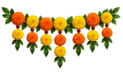 marigold toran png traditional flower toran decoration transparent background festive toran png
