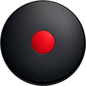 Black Record Button PNG Matte circular Black Record Button PNG with a bright red center dot, perfect for sleek media player interfaces and video overlays.