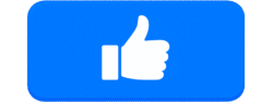 Flat rectangular Simple Blue Like Button with a white thumbs up icon for social media UI and web design