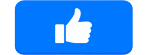 Flat rectangular Simple Blue Like Button with a white thumbs up icon for social media UI and web design