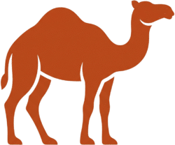 Tourist camel desert icon featuring a minimalist solid brown vector silhouette of a standing camel.